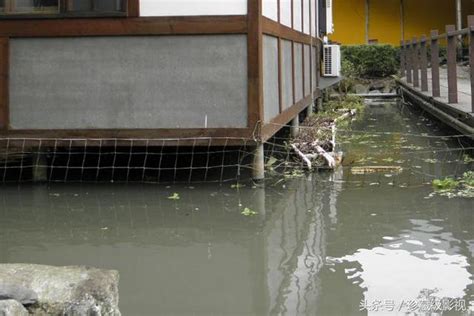 割腳水 開局繼承天師